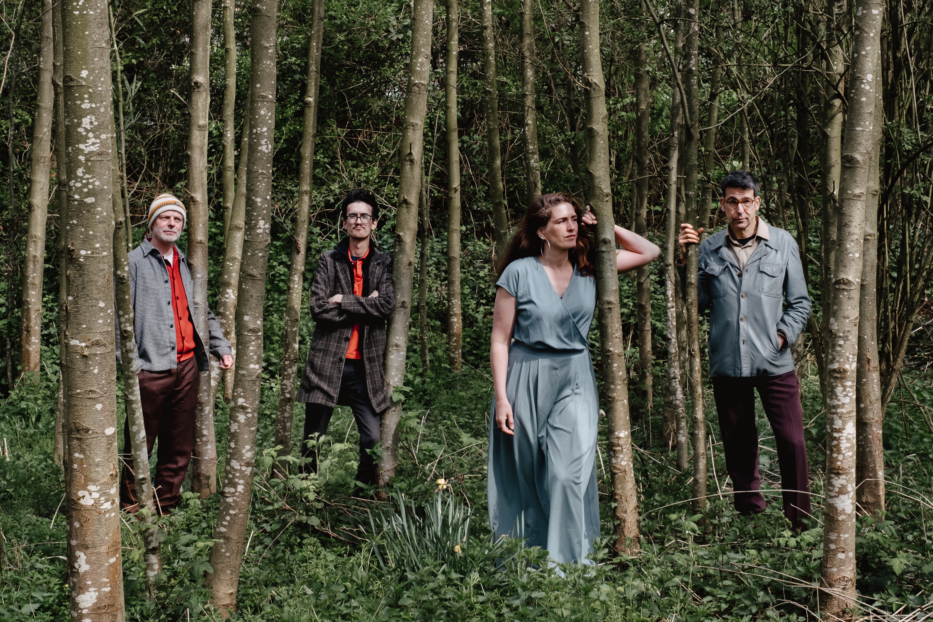 Tjilp band in het bos
